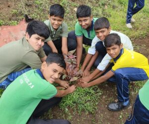 WhatsApp Image 2025-02-14 at 12.43.48 PM (1)