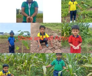 WhatsApp Image 2025-10-30 at 11.01.25 AM